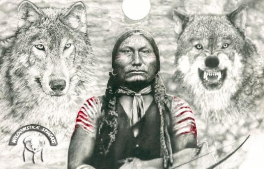 native American, two wolves